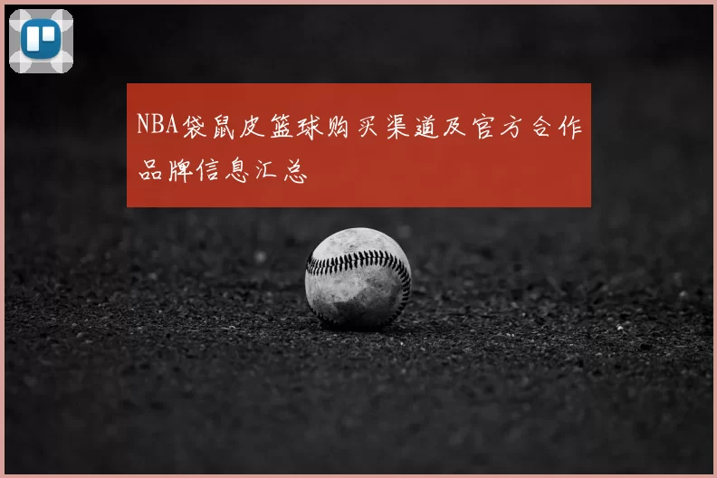 NBA袋鼠皮篮球购买渠道及官方合作品牌信息汇总