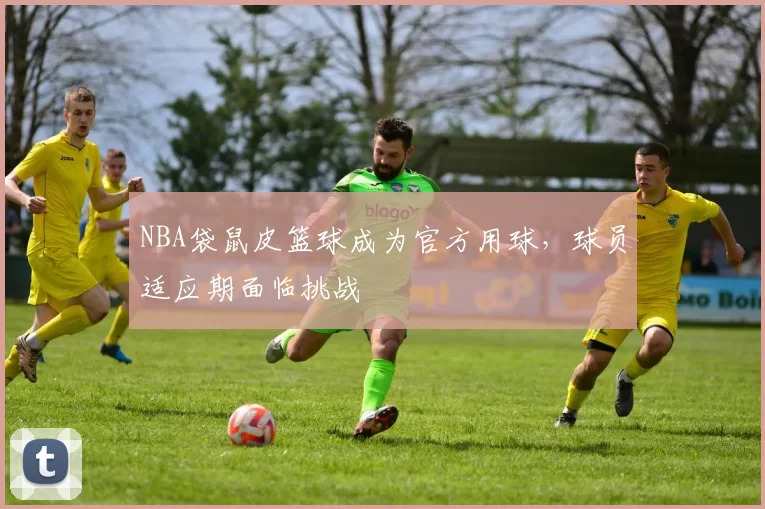 NBA袋鼠皮篮球成为官方用球,球员适应期面临挑战