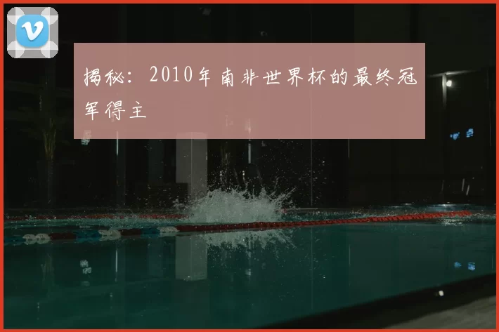 揭秘:2010年南非世界杯的最终冠军得主