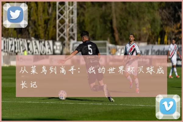 从菜鸟到高手:我的世界杯买球成长记