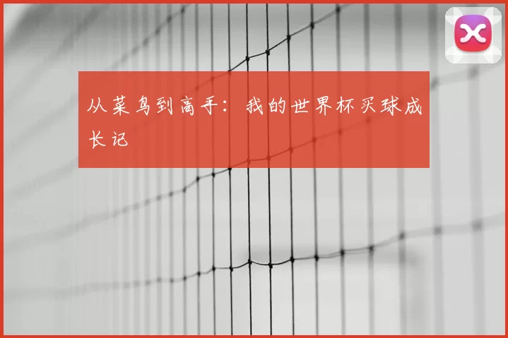 从菜鸟到高手:我的世界杯买球成长记