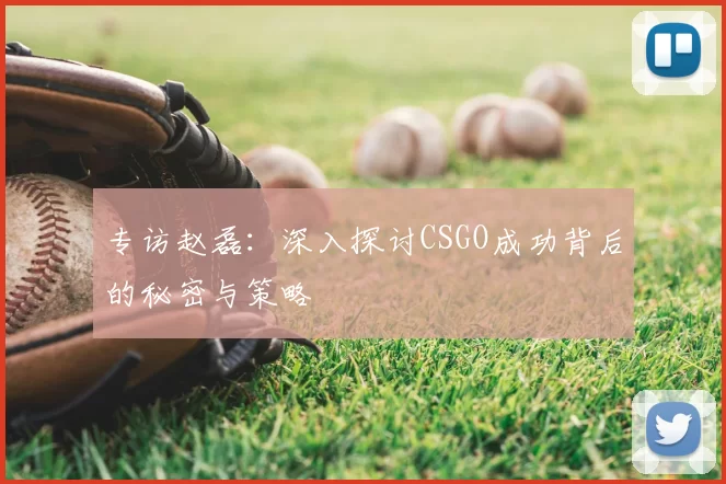 专访赵磊:深入探讨CSGO成功背后的秘密与策略