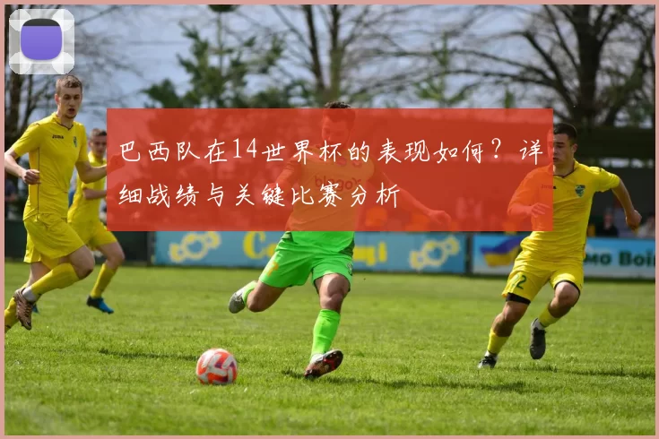 巴西队在14世界杯的表现如何?详细战绩与关键比赛分析