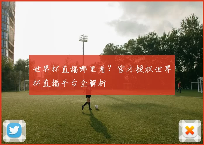 世界杯直播哪里看?官方授权世界杯直播平台全解析