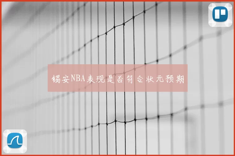 锡安NBA表现是否符合状元预期