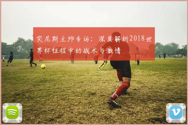 突尼斯主帅专访:深度解析2018世界杯征程中的战术与激情